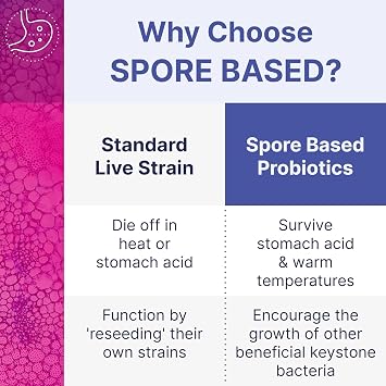 Microbiome Labs MegaSporeBiotic Plus - Spore-Based Probiotic with 4 Active Bacillus Strains Daily Active Bacteria for Men & Women Intestinal Dietary Supplement Vegan Storage Stable 60 Capsules