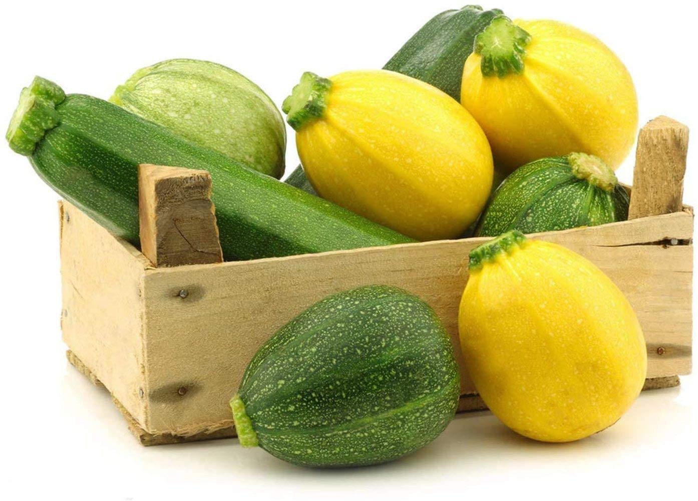 30Stück Zucchini Samen reines natürliches grünes Gemüse Ernte im Freien das ganze Jahr über für die Gartenarbeit Einfach zu keimen geeignet für Anfänger