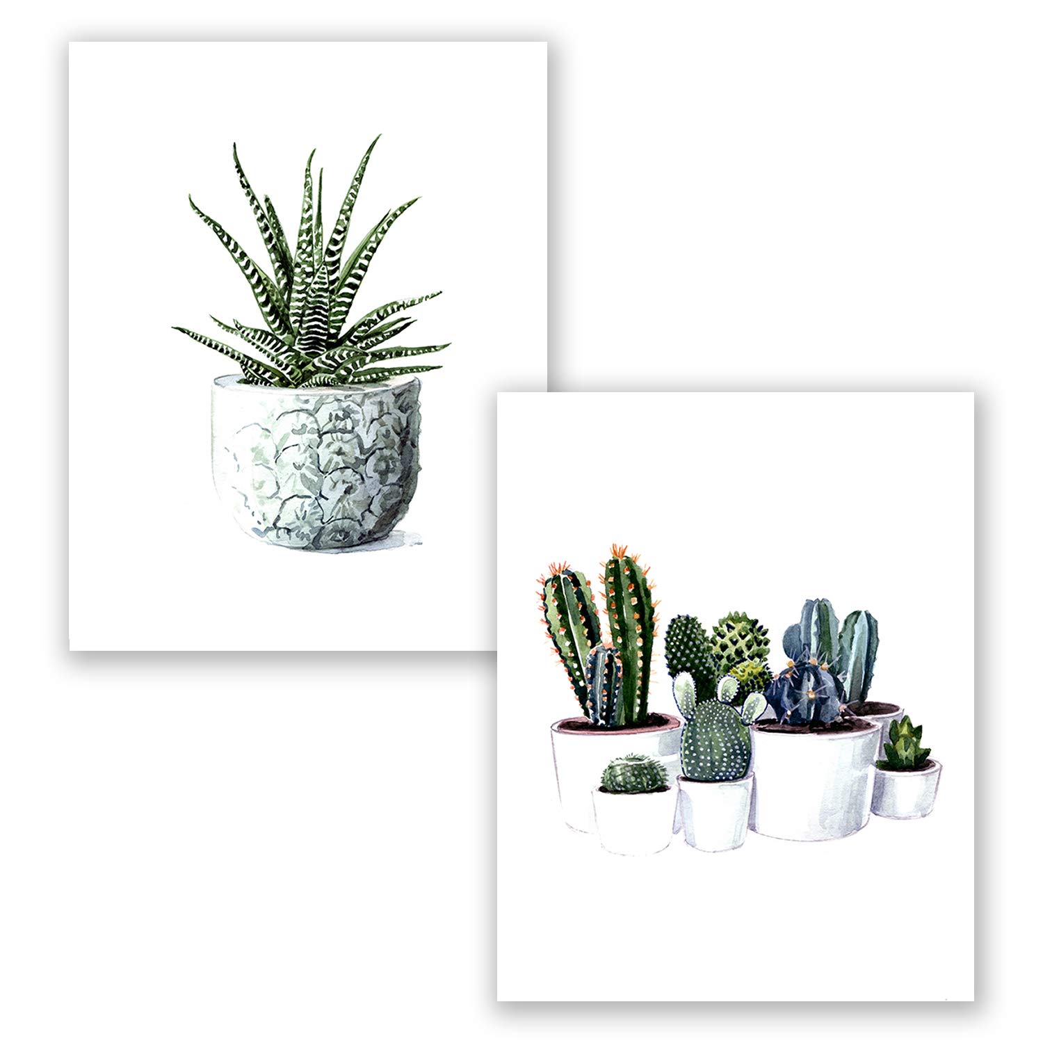 AtoZStudio A65 Succulent Wall Art Decor - Set of 2 Cactus Poster Print // Green Watercolor Cacti Plant Painting Picture // Vintage Classroom Artwork (11x14)