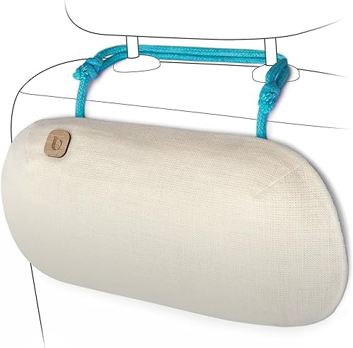 Purificador de aire para auto PURGGO - Absorbe el olor en lugar de cubrirlo - Sin fragancia - Dura 365 días + - Hecho con carbón vegetal 100% de