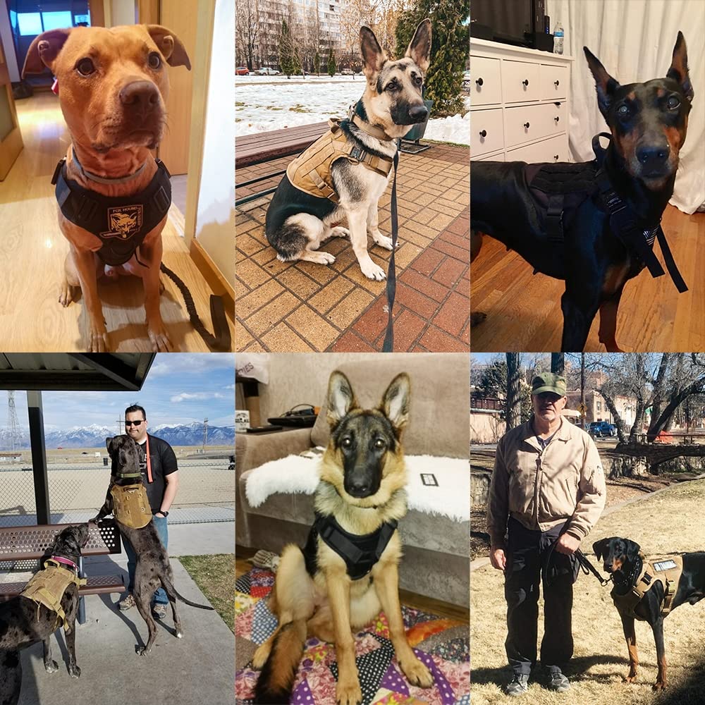 Wojskowa Nylontactical Pet Harness i smycz Zestaw Kamizelka Klamra Metalowa Klamka Dla Dużego Psy Trwała Uprząż