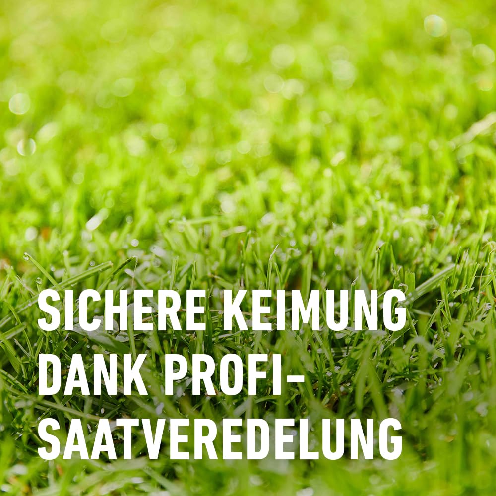 COMPO SAAT Nachsaat-Rasen - für Lücken und kahle Stellen - zuverlässiger Nachsaatrasen - hochwertige Saatgutmischung mit Premium-Mantelsaat - 2 kg für 100 m²