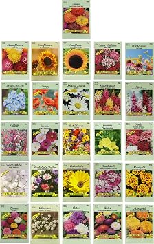 26 Slightly Assorted Flower Seeds! Great for Bees, Birds, and Butterflies! Includes 10+ Varieties of USA Grown & Non-GMO Seeds! May Include Forget-Me-Nots, Marigolds, Wildflowers, and More