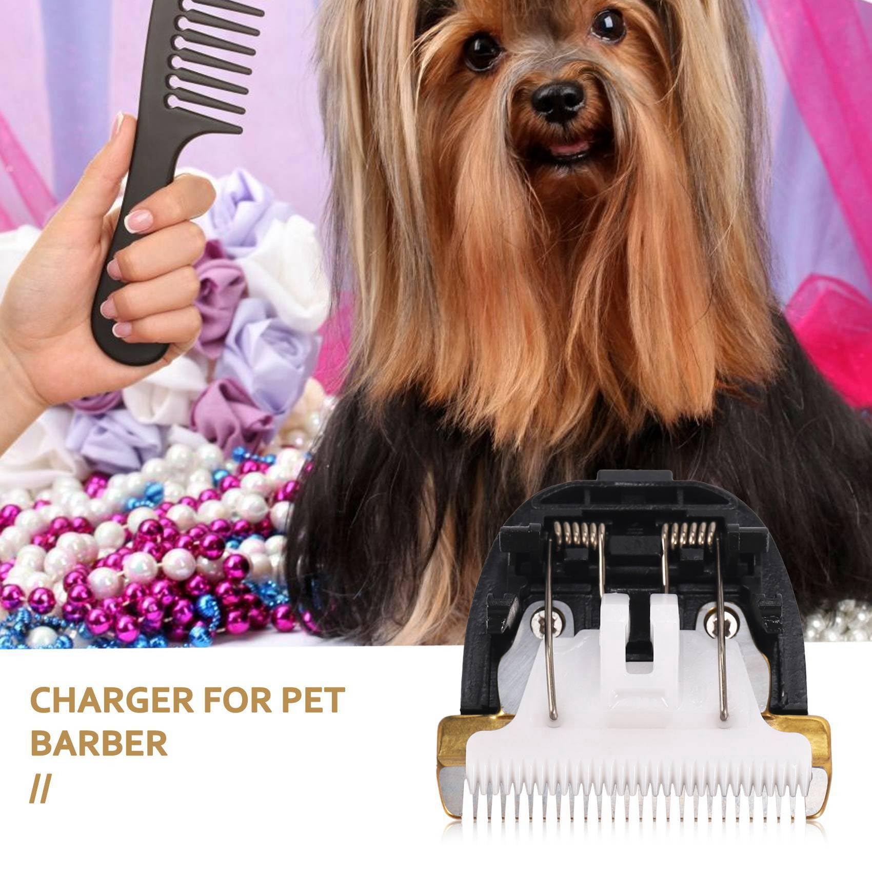 Pflege Keramik Kopf Rasier Klinge 40Mm 24 ZäHne für Tier Clipper Trimmer
