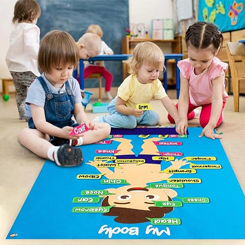 Miniatura 5 de WATINC Juego de 35 piezas de tablero de fieltro para aprendizaje de partes del cuerpo, órgano humano preescolar, enseñanza educativa, narración de