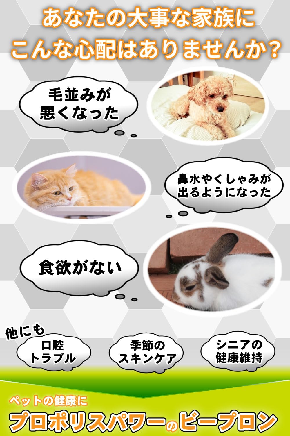 sana17　Rabbit プロポリス 100cc sana17 Rabbit プロポリス 100cc sana17 Rabbit プロポリス