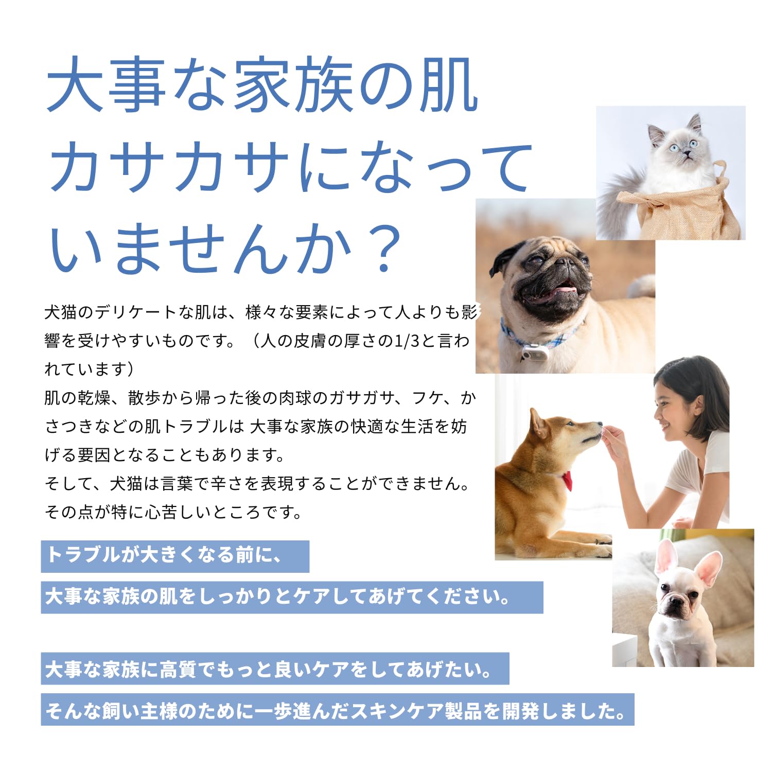 Amazon | ANCEPRA(アンセプラ) 動物用スキンケアジェル(30g) 犬幹細胞