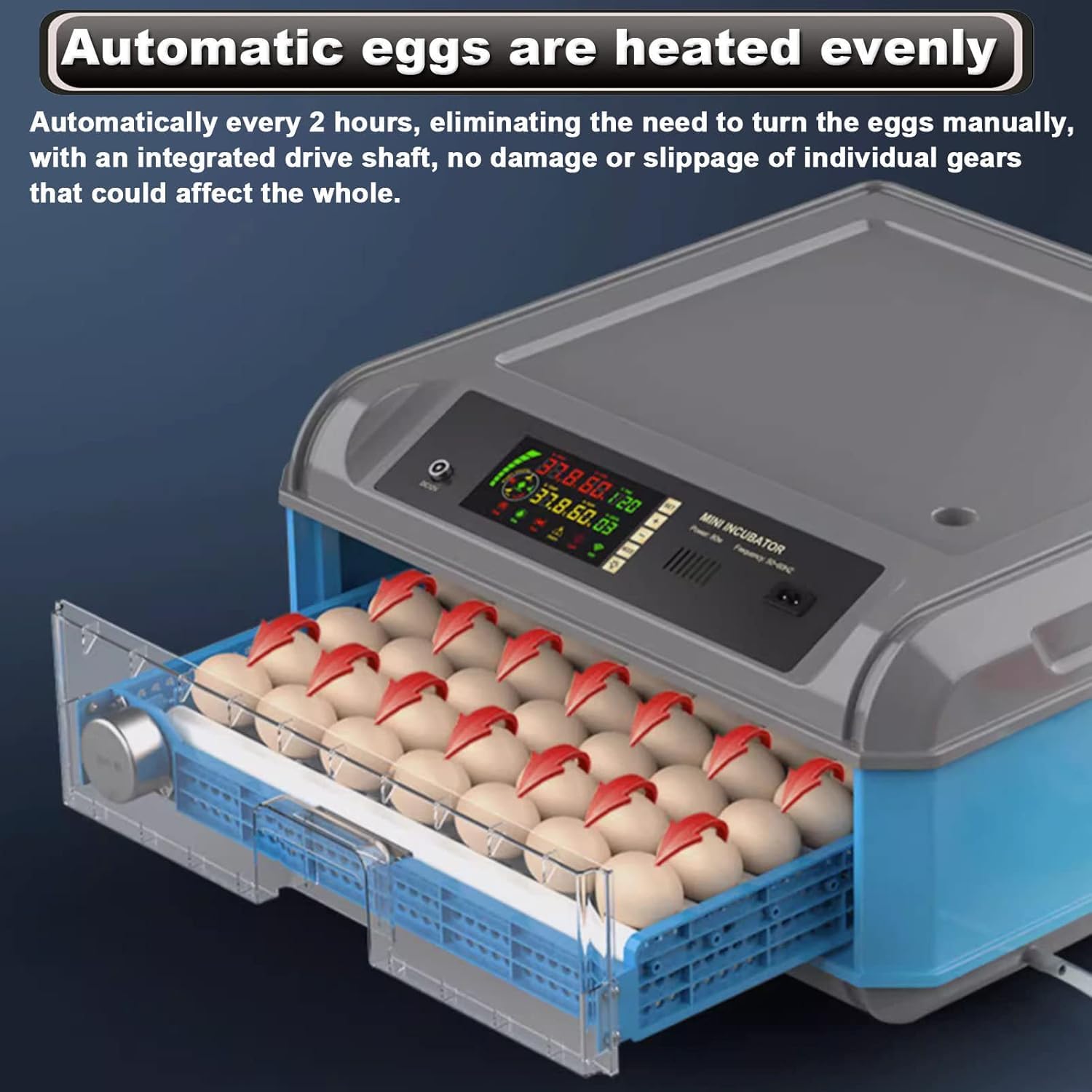 Incubatrice automatica per uova con controllo della temperatura e dell'umidità per la cova del pollame