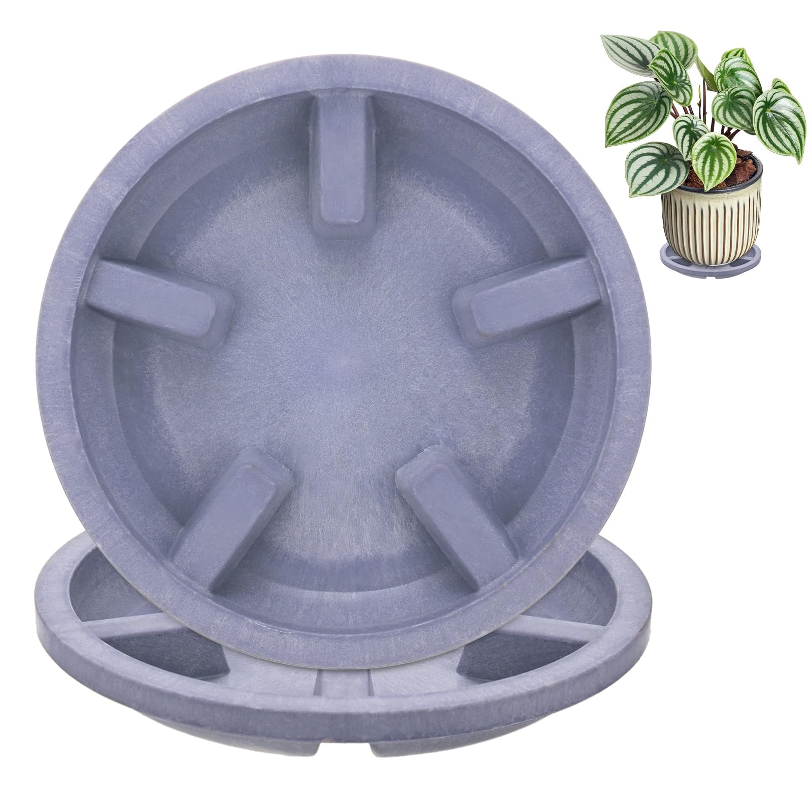 M METERXITY 2-Pack Plant Saucers 5 inch OD Resin, Purple