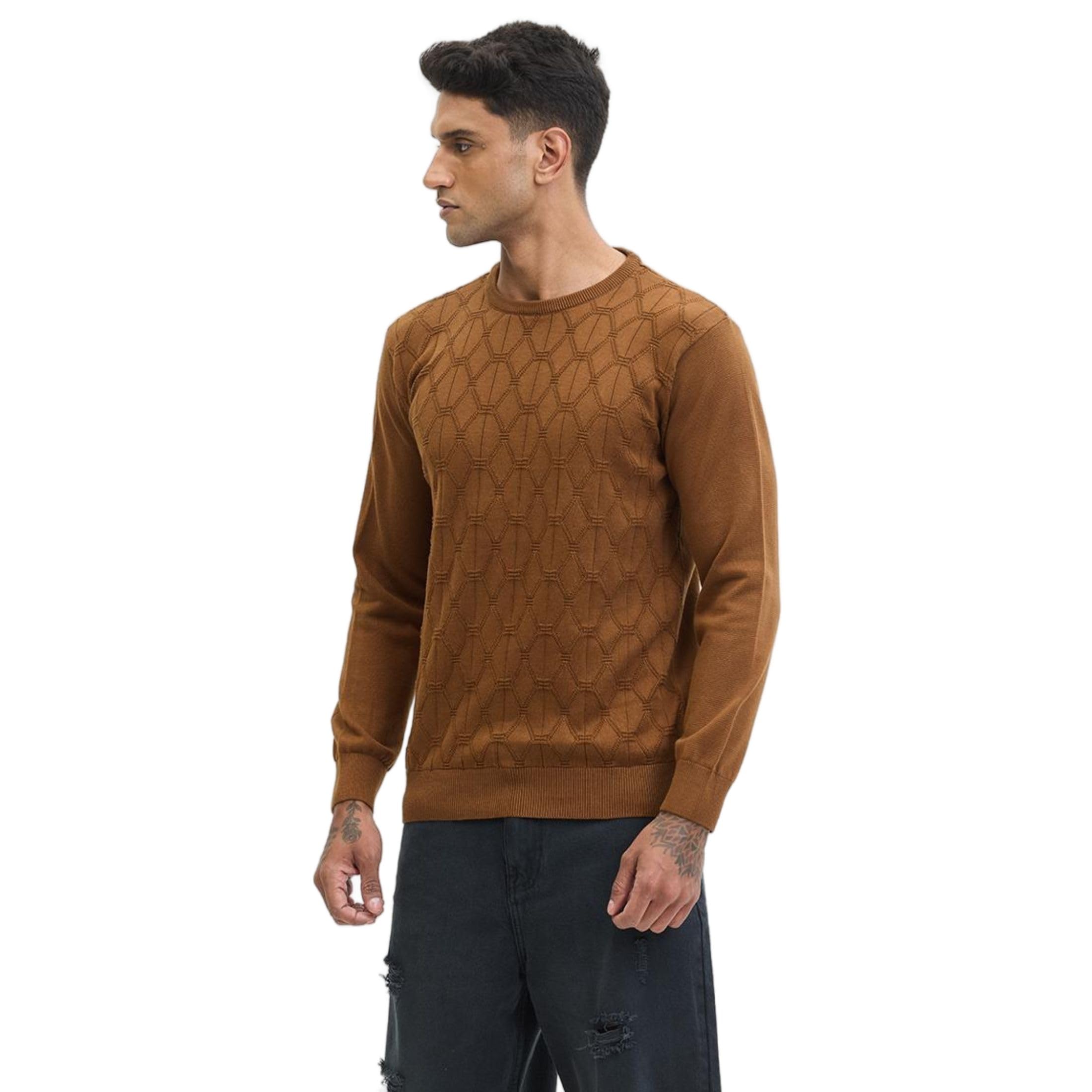 snitch Brown Knitted Ribbed Hem Self-Design Sweaters-picture-51
