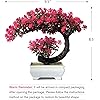 Product Photo 6