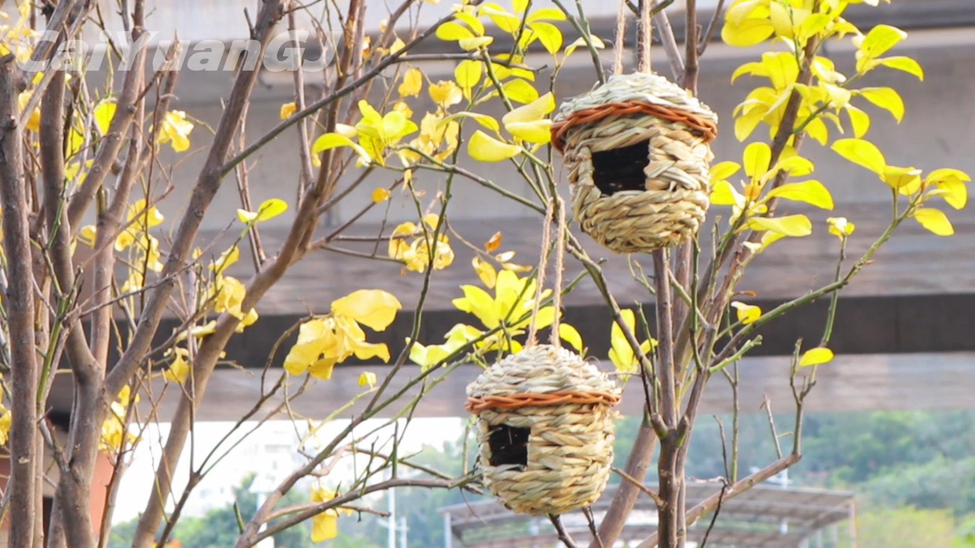 2 Nidi Per Uccelli In Erba Intrecciata A Mano - Casetta Appesa Per Esterno Per Canarini, Pappagallini - Naturale E Resistente - Foto 10