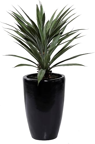 Miniatura 4 de Deco 79 Planta artificial de imitación de follaje Dracaena con maceta de fibra de vidrio negra, 30 x 28 x 37 pulgadas, verde