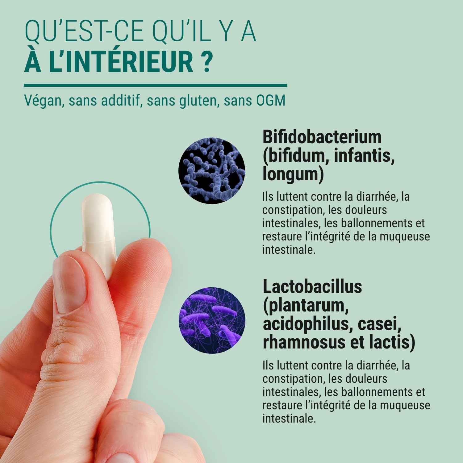 PROBIOT - 14 milliards/gélule - Complément Alimentaire Probiotiques, Digestion & Flore Intestinale - 90 Gélules - Fabriqué en France - Vegan - Sans Additif Allergène OGM