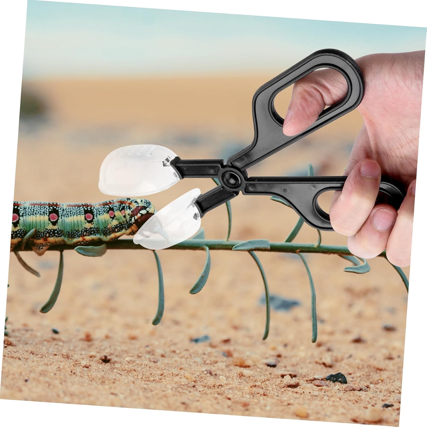 Kisangel 3Pcs Reptile Feeding Clip Flexible Insect Feeding Cleaning Tool for Crickets for Lizard Reptile Care