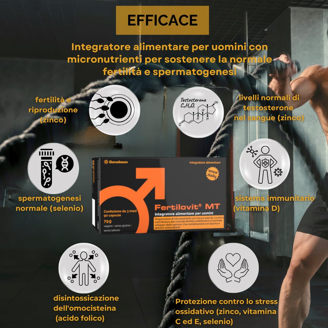 Fertilovit® MT – Integratore per fertilità maschile con Zinco, Selenio, L-Carnitina, Taurina, Licopene e Coenzima Q10 – Supporto per la normale formazione degli spermatozoi – 90 capsule (3 mesi)