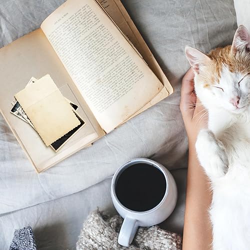 Miniatura 9 de Junkin 20 bolsillos adhesivos para planificadores, bolsillos para tarjetas de índice, accesorios de planificador, carpeta autoadhesiva,