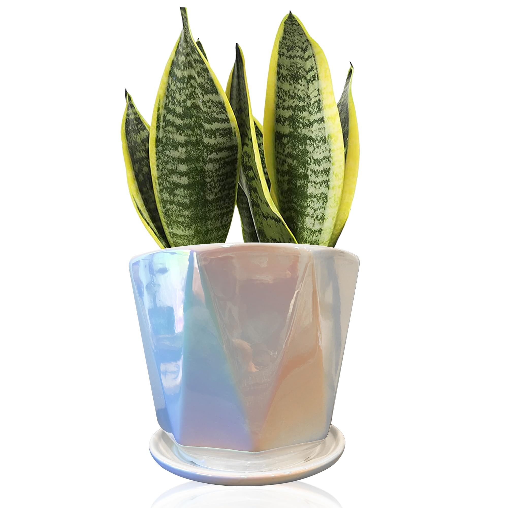 Coco Andrea Ceramic Planter