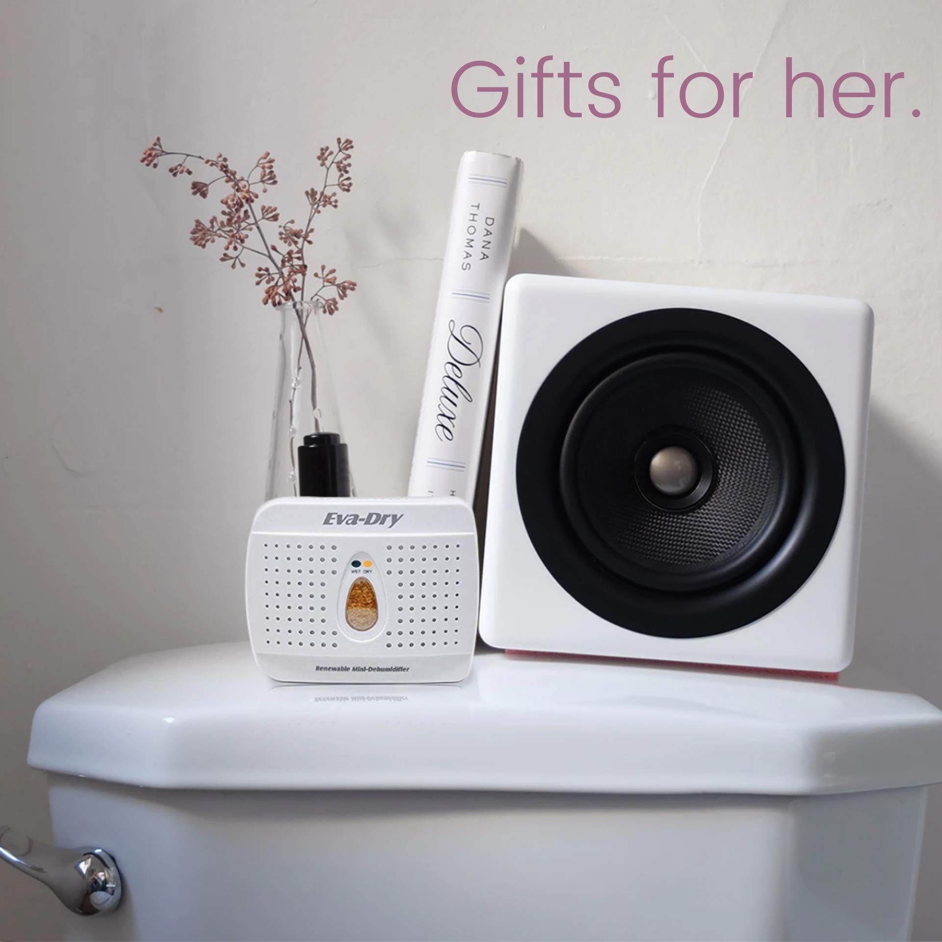 EvaDry Wireless Mini Dehumidifier, White (E333) B000H0XFCS