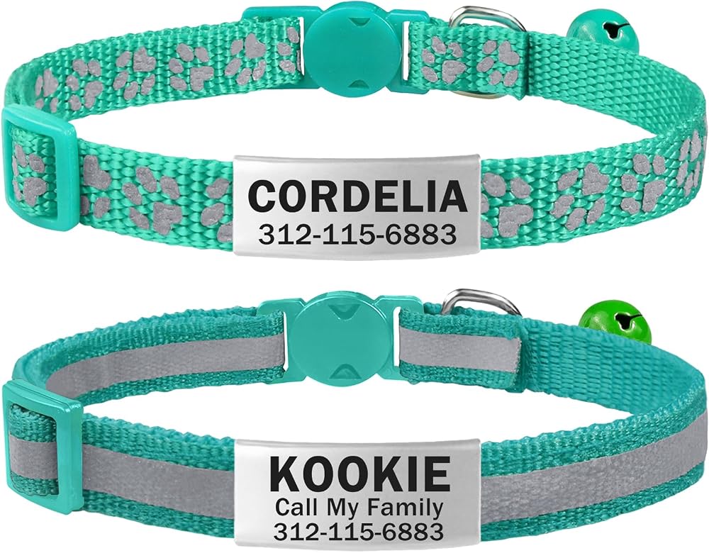 TagME 2 Pack Breakaway Cat Collar, Reflective, Name Tag for Cats, Teal | Personalized Engraved Stainless Steel ID Plate & Bell on Soft Nylon, Keeps Outdoor Kittens & Small Cats Visible at Night