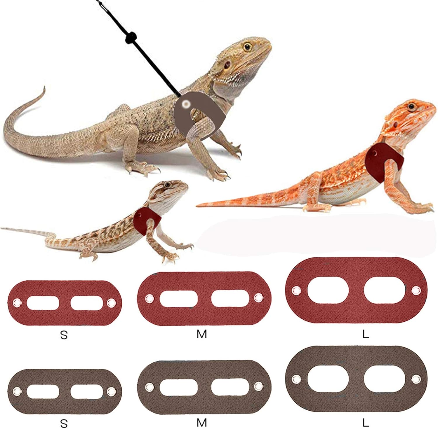 gecko leash