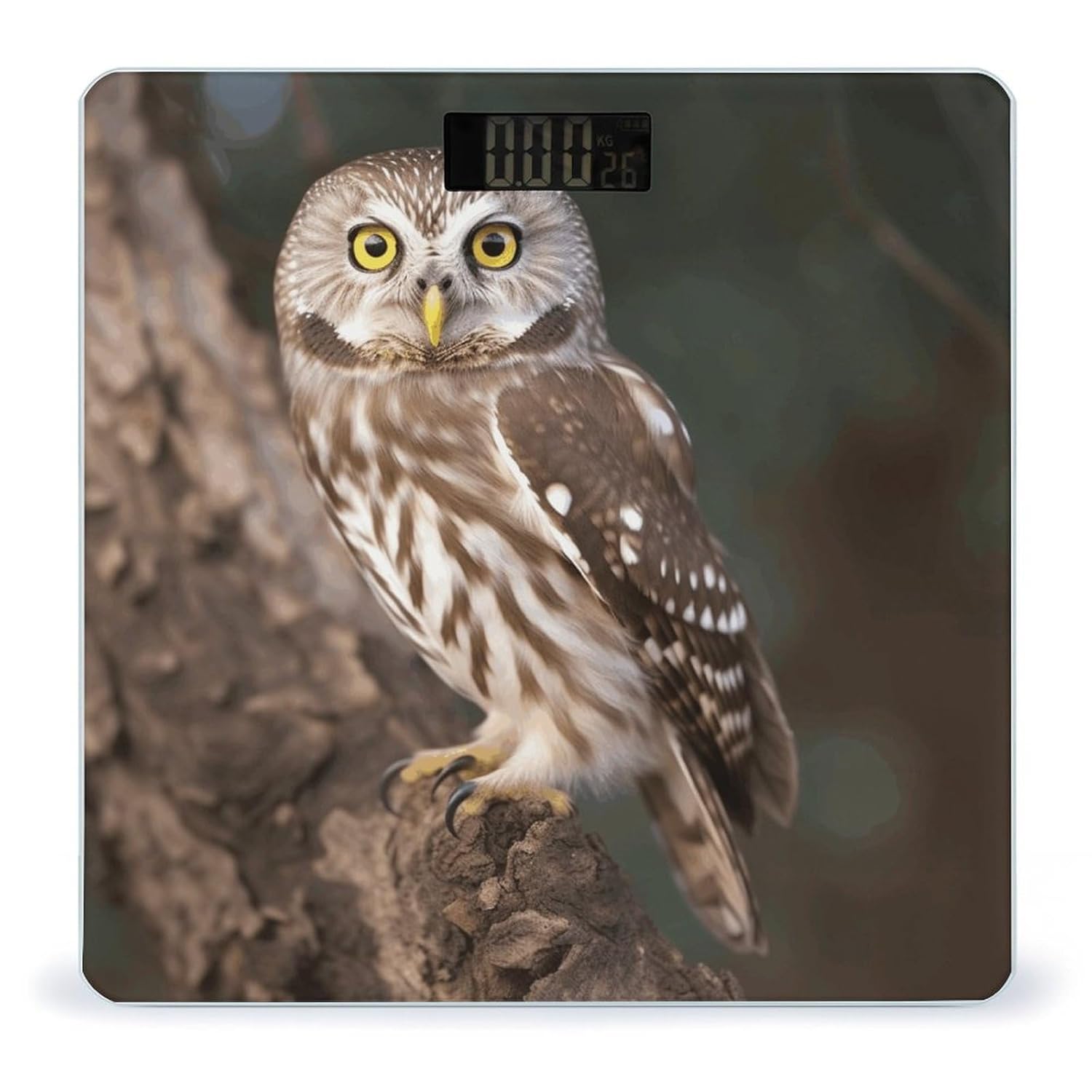 Weight Scale, Wildlife Animal Owl Print Digital Scale Bathroom Scale LCD Display Scale Body Weight Scale Portable Scale