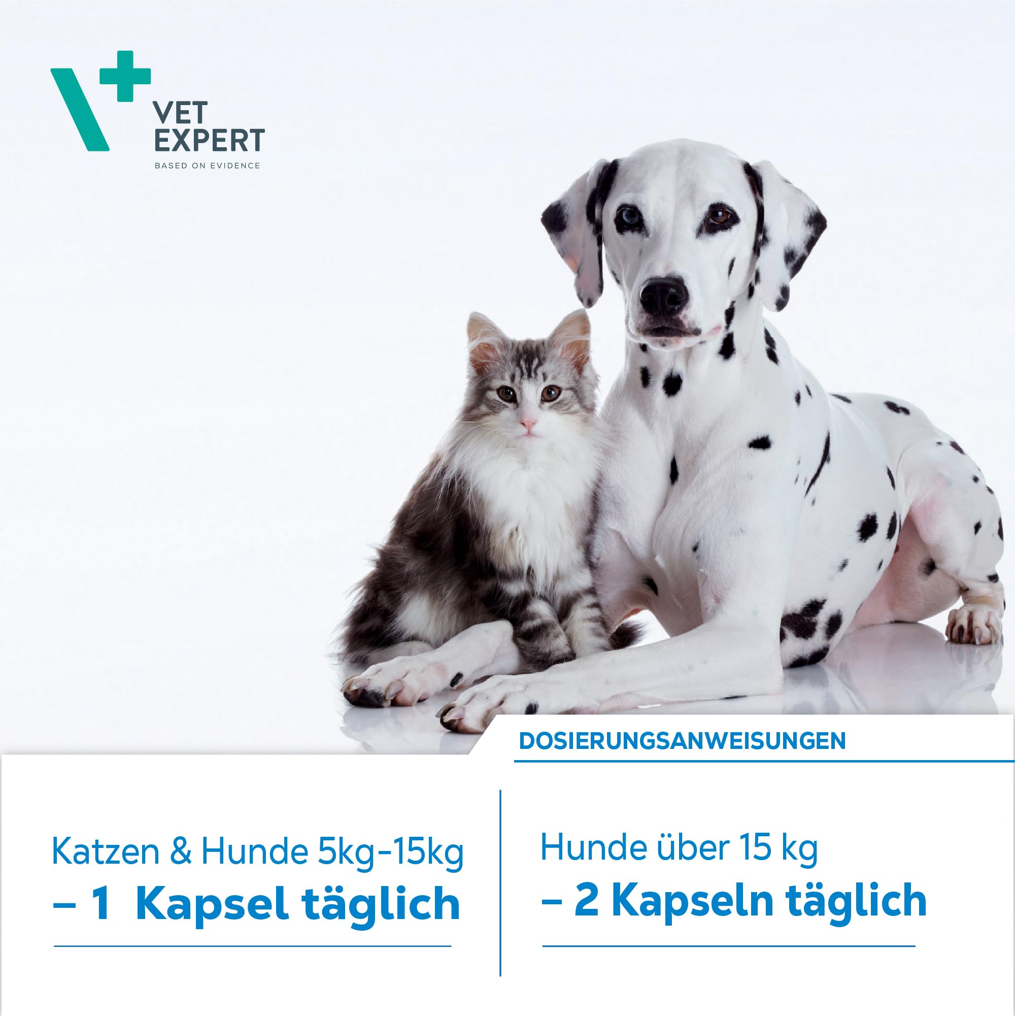VETEXPERT VetoSkin | 90 Kapseln | Ergänzungsfuttermittel für Hunde & Katzen | Mit Omega-Fettsäuren & Biotin