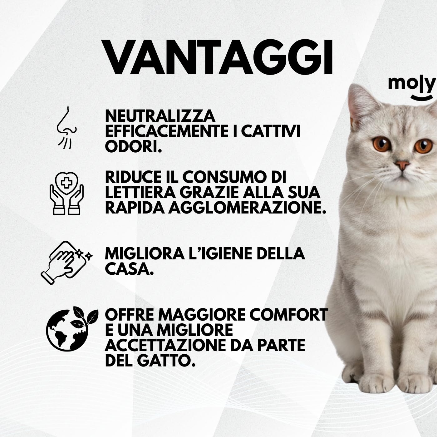 MOLY X6 Sabbia per gatti Bentonite con carbonio attivo 16,8 kg 22,2 l | Sabbia agglomerante ad alta assorbimento con aroma di lavanda e talco | Controllo totale degli odori | Senza polvere | Lecho
