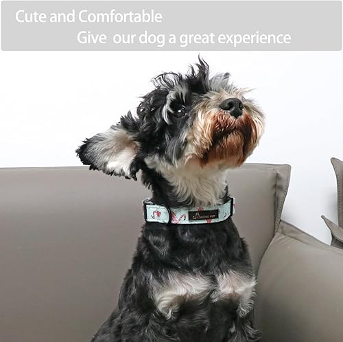 Miniatura 4 de Aring Pet Collar de algodón, ligero y ajustable, con hebilla de liberación rápida para perros pequeños, medianos y grandes, para cachorros, S,
