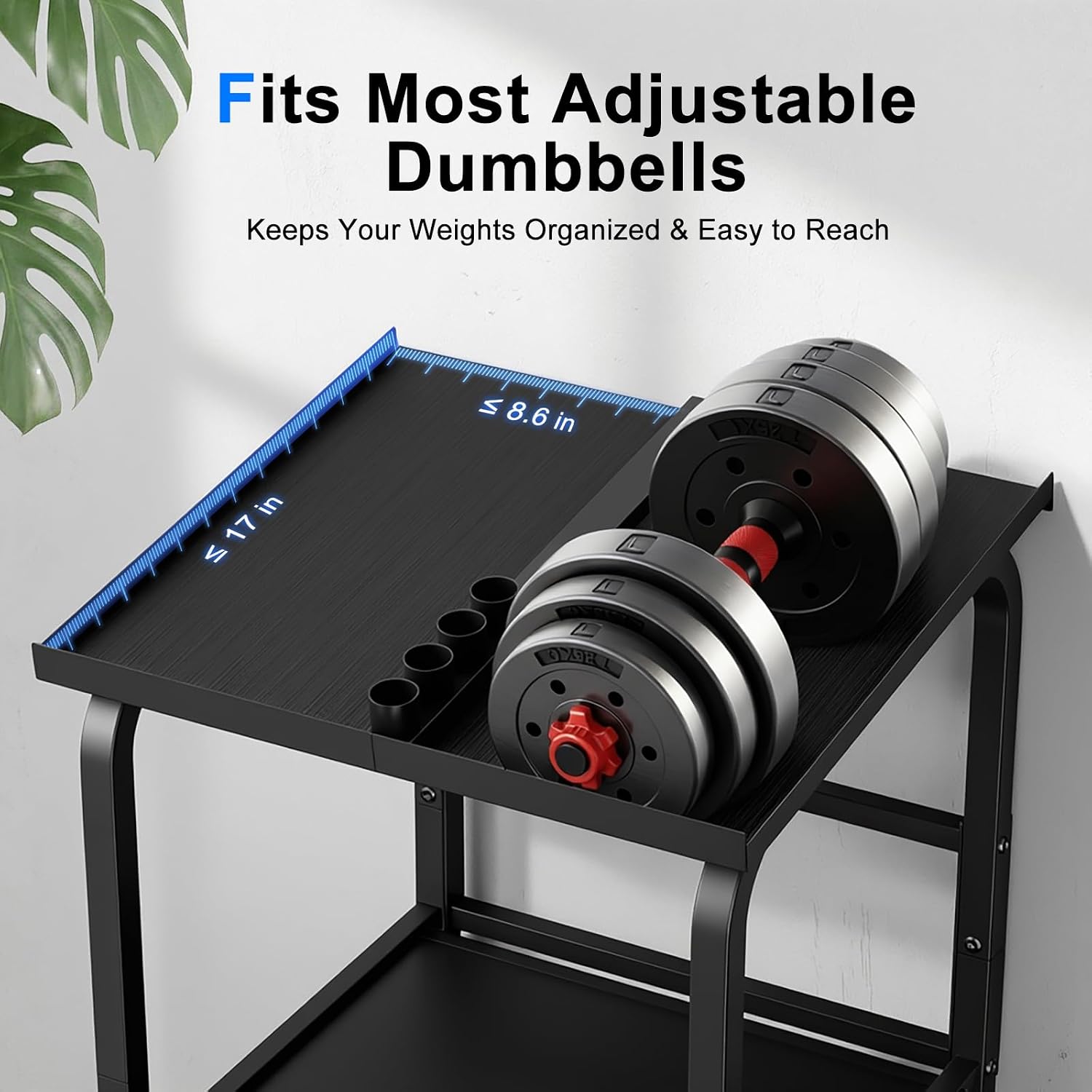 Adjustable Dumbbell Stand Rack Only, 500lbs Capacity Dumbbell Kettlebell Storage Stand for Home Gym, 2-Tier Space-Saving
