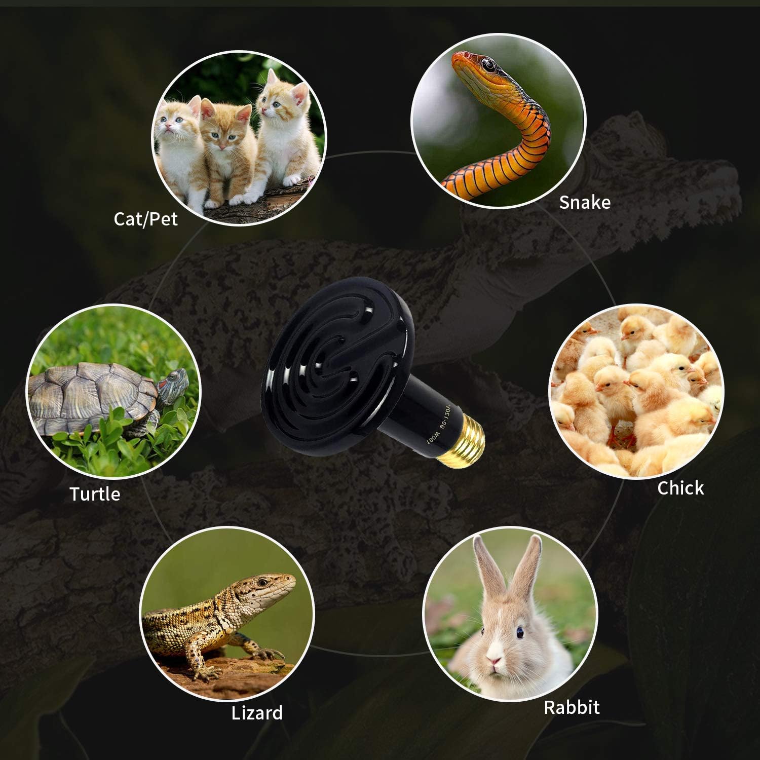 100W Black Ceramic Heat Emitter Bulb for Reptiles 2 Pack | No Light Emitted, Infrared, E26 Base, Porcelain Fixture, Durable, Brooder Coop, Snake, Bearded Dragon, Lizard, Amphibian