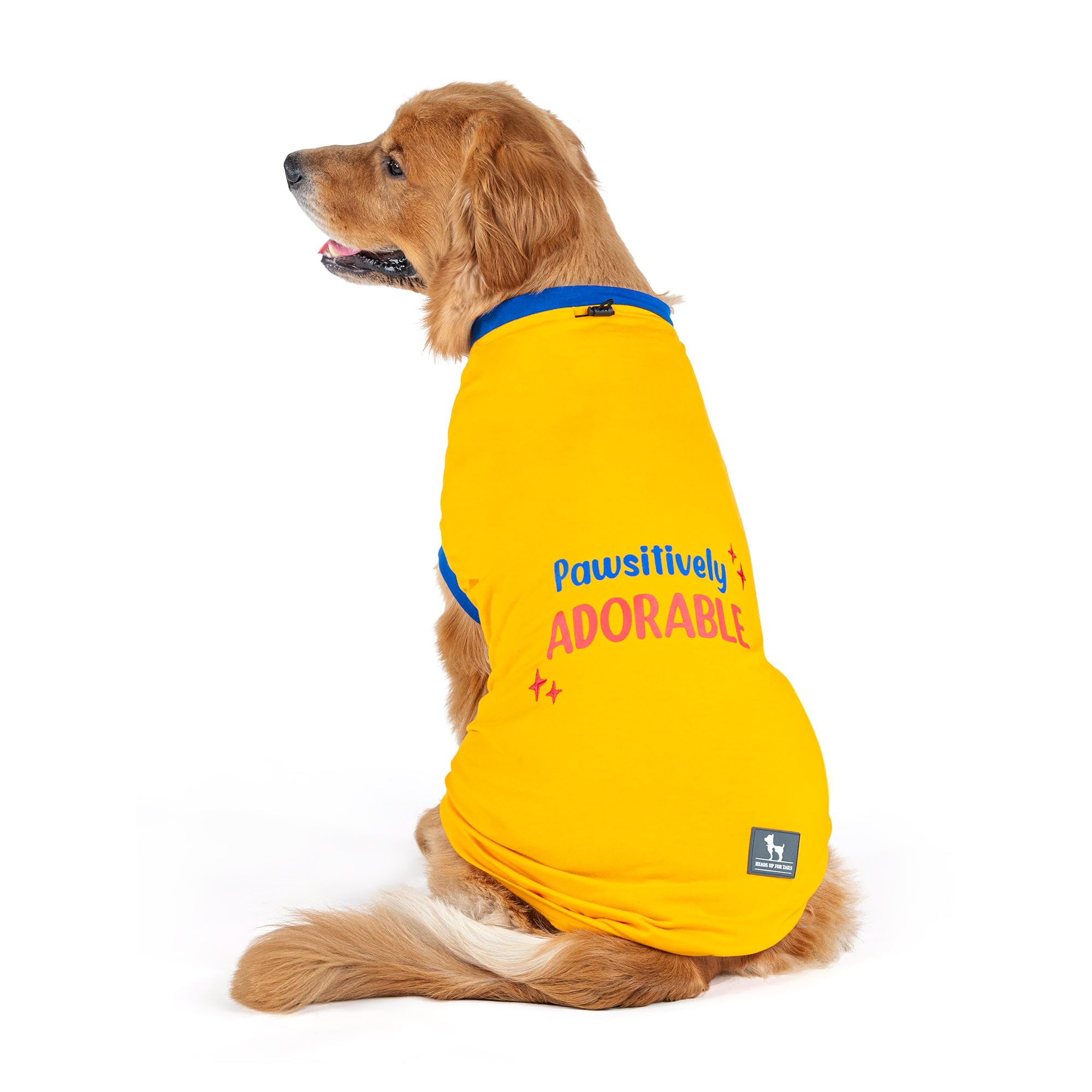 HUFT Pawsitively Adorable T-Shirt for Pets - Yellow - XL (B0D4DPZVVG) Amazon Price History, Amazon Price Tracker
