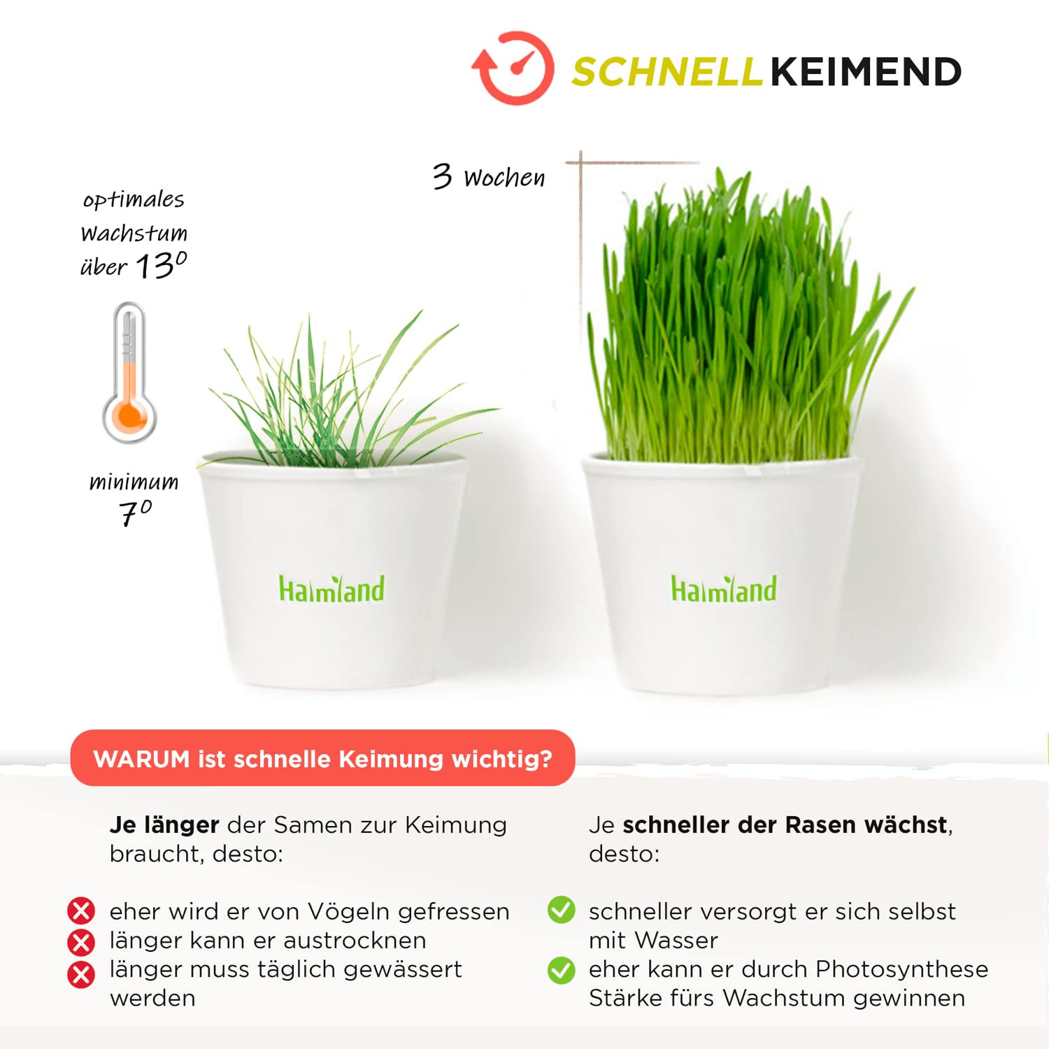 Schattenrasen Samen Rasensamen schnellkeimend Sommer 10 kg = 400 m² | Grassamen schnellkeimend für schattige Flächen | für Rasen Nachsaat | SEHR GUT getestet | Inkl. Rasensaat Anleitung