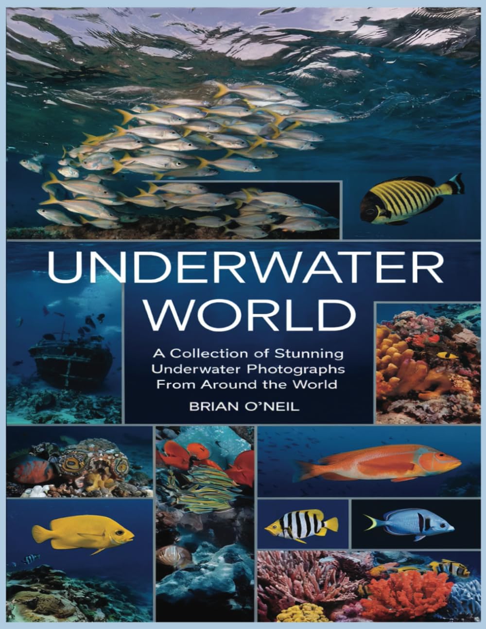 Underwater World: A Collection of Stunning Underwater Photographs from Around the World