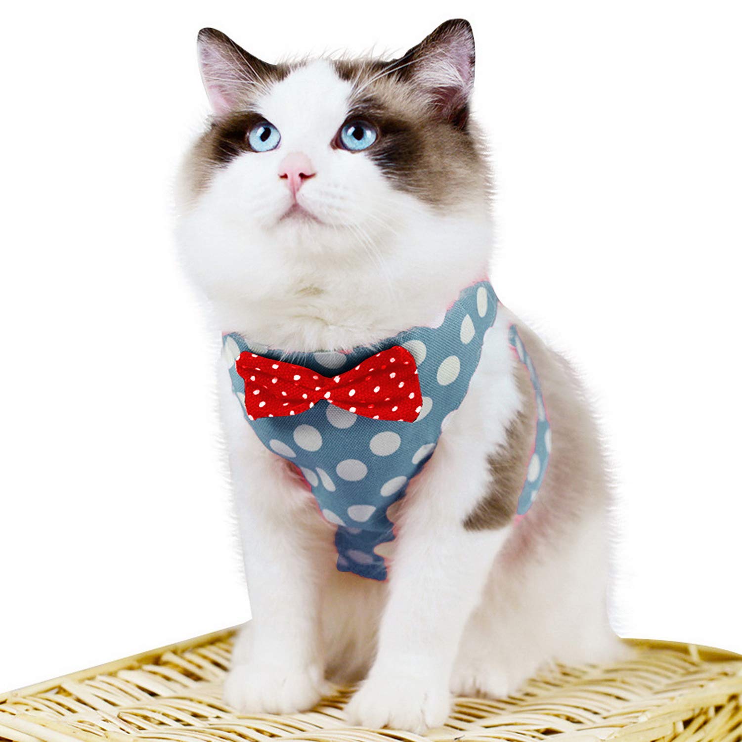 Amazon | ZUNEA 犬 猫用 ハーネス リードセット おしゃれ かわいい 犬