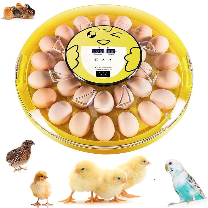 Buy 30 Eggs Incubator, Automatic Clear Egg Incubator for Hatching Chickens Pheasant Quails, Egg