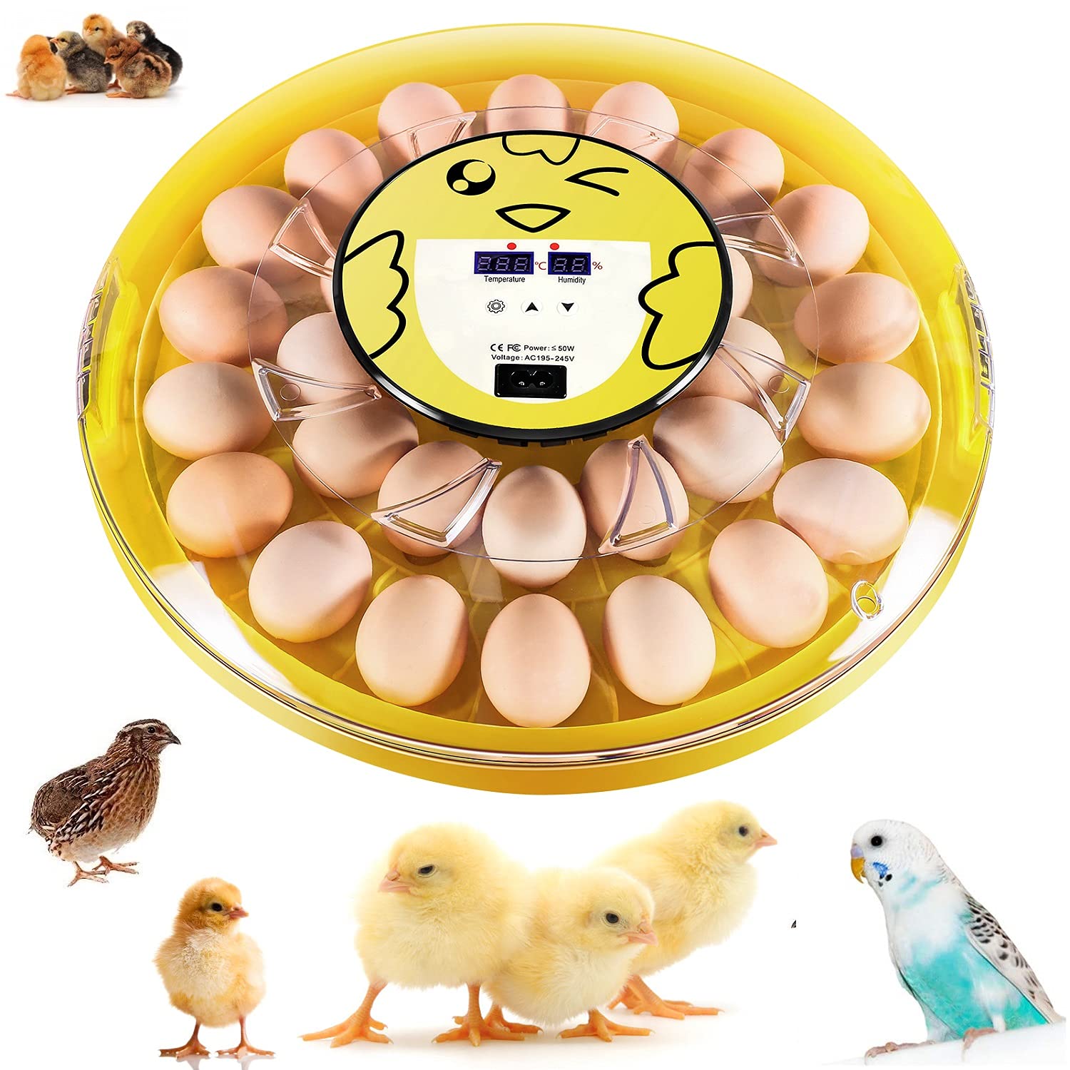 Buy COOCHEER Egg Incubator, Fully Automatic Digital Poultry Hatching