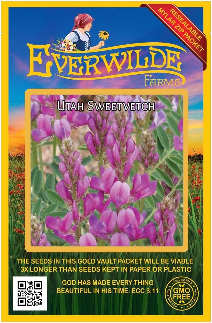 Everwilde Farms - 1/4 Lb Utah Sweetvetch Native Wildflower Seeds - Gold Vault