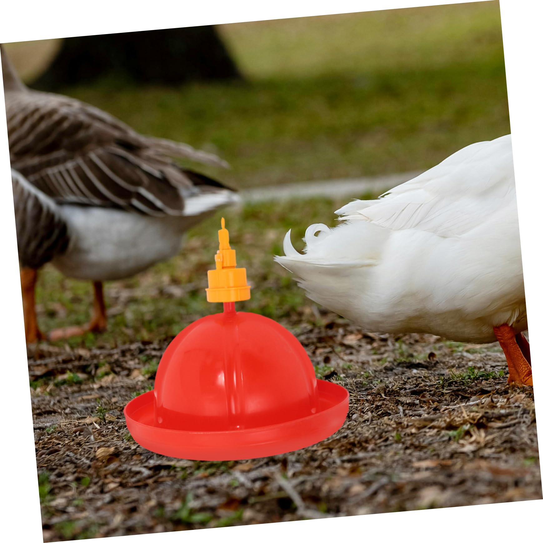 TOYANDONA Kit Automático de Bebederos y Comederos para Pollos y Gansos Agua Contenedor de Integrado y Fácil Instalación para Avicultura