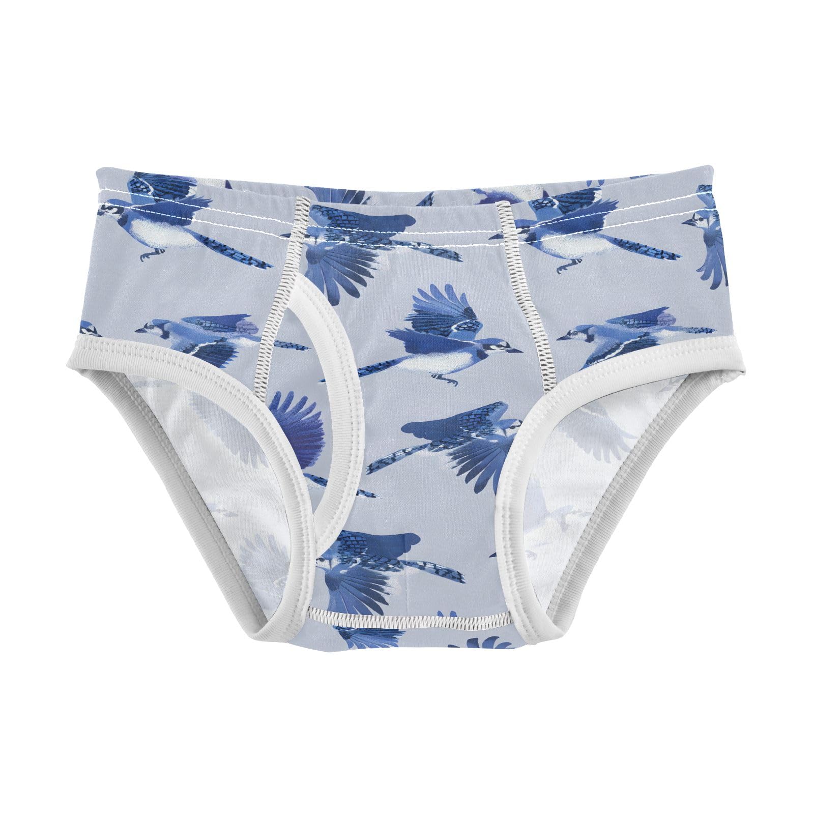 Boys Exclusive Briefs Toddler Underwear 95 Combed Cotton Boxerbriefs 2T Blue Jays Flying in The Sky