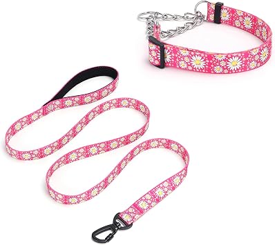 Martingale Dog Collar, 5FT Dog Leash Padded, Slip Dog Collar and Leash Set with Daisy Floral Design Stainless Steel Chain Modified Cinch Collar Hot Pink, Medium