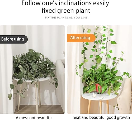 Miniatura 4 de 10 clips de pared para escalar plantas ganchos autoadhesivos para fijación de plantas invisibles para enredaderas de pared fijación de plantas