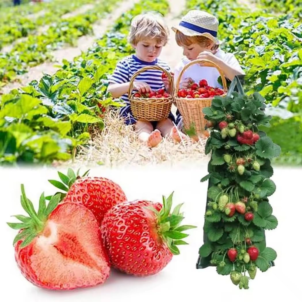 9 sacchetti per piantare fiori, piante da appendere, in tessuto, per fiori, fragole e altro (8 fori, arancione)
