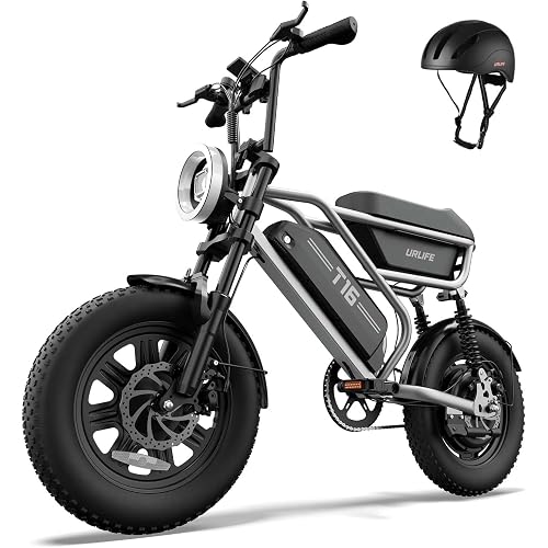 URLIFE Electric Bike for Adults/Teens, Electric Dirt Bike with Storage Box, 48V 13AH Removable Battery, 16" Fat Tire All-Terrain E-Bike, UL 2849 Certified