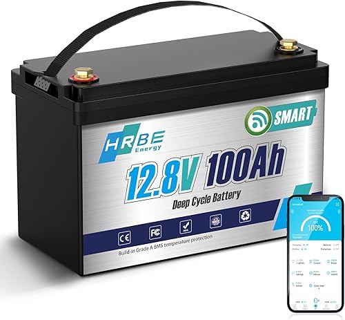 Batería Bluetooth LiFePO4 de 12 V 100 Ah, baterías de litio del grupo 31 con BMS de 100 A, hasta 5000 ciclos profundos, batería de fosfato de hierro