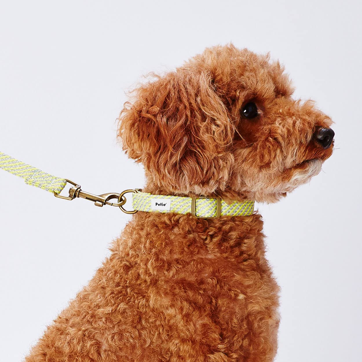 Amazon.co.jp: ペティオ (Petio) 犬用首輪 フラッシュソフト