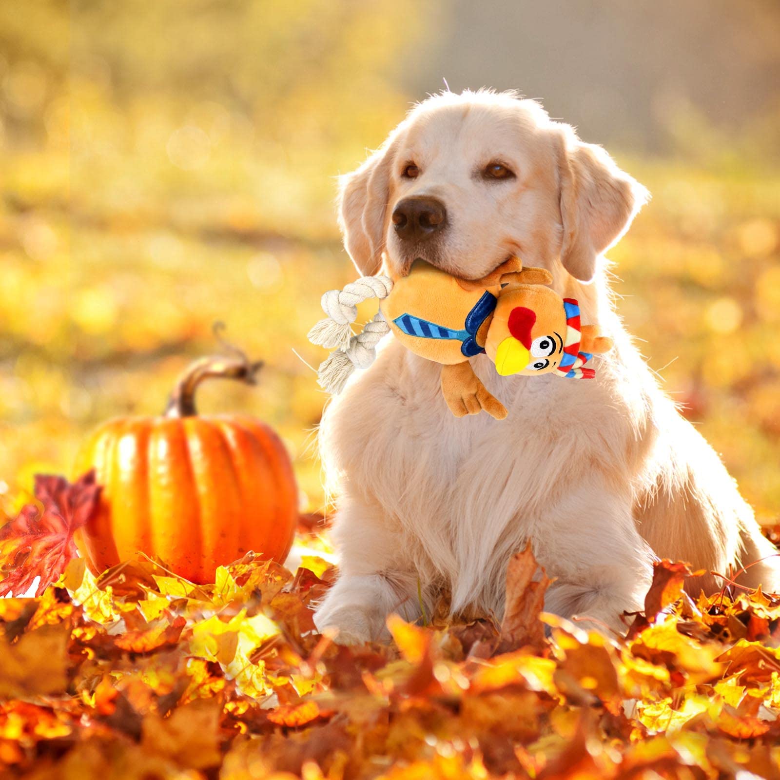 BWOGUE Thanksgiving Truthahn Hundespielzeug | Quietschend & Kaurobust | Für Kleine & Mittlere Hunde