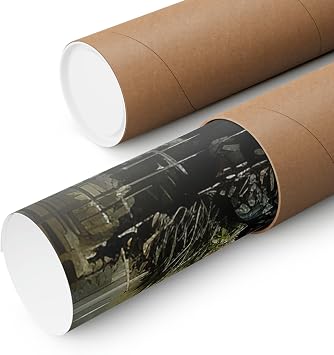 CAPITUNEISKINEPA Alligator Poster Gift Poster For Bedroom Small Posters 12 x 18