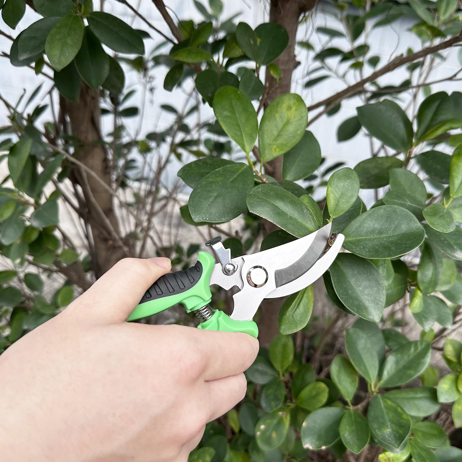 3 Pezzi Forbici da Giardino, Forbici Potatura, Cesoie a Mano, Cesoie da Giardinaggio, Troncarami con Impugnatura Di Blocco, Potatore Manuale, per Piante, Fiori, Rami, Bonsai, Verdura
