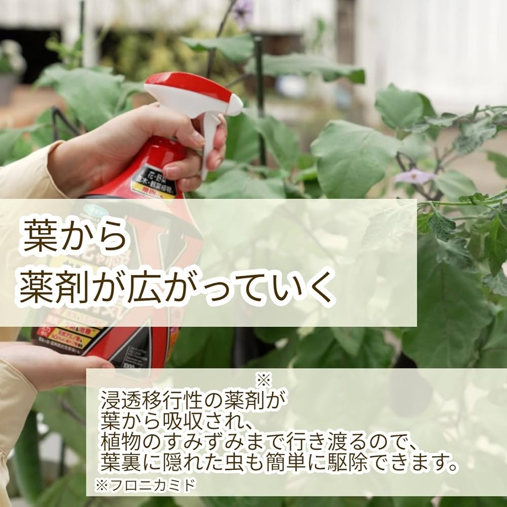【即日発送】全20種フルコンプ／つぶらな瞳のお花屋 かたつむり　てんとうむしなど 紺碧の桎梏 | 蛇塚透花 | HiTNEX TRAX